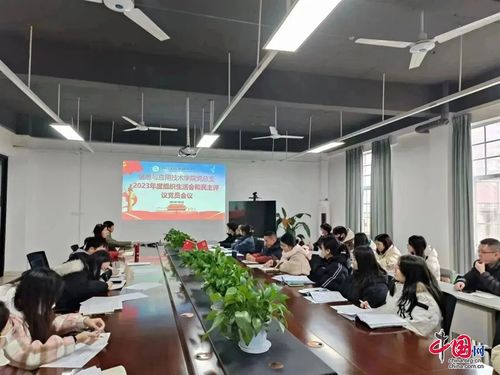 四川文化傳媒職業(yè)學(xué)院圓滿完成2023年度專題組織生活會(huì)和民主評(píng)議黨員工作